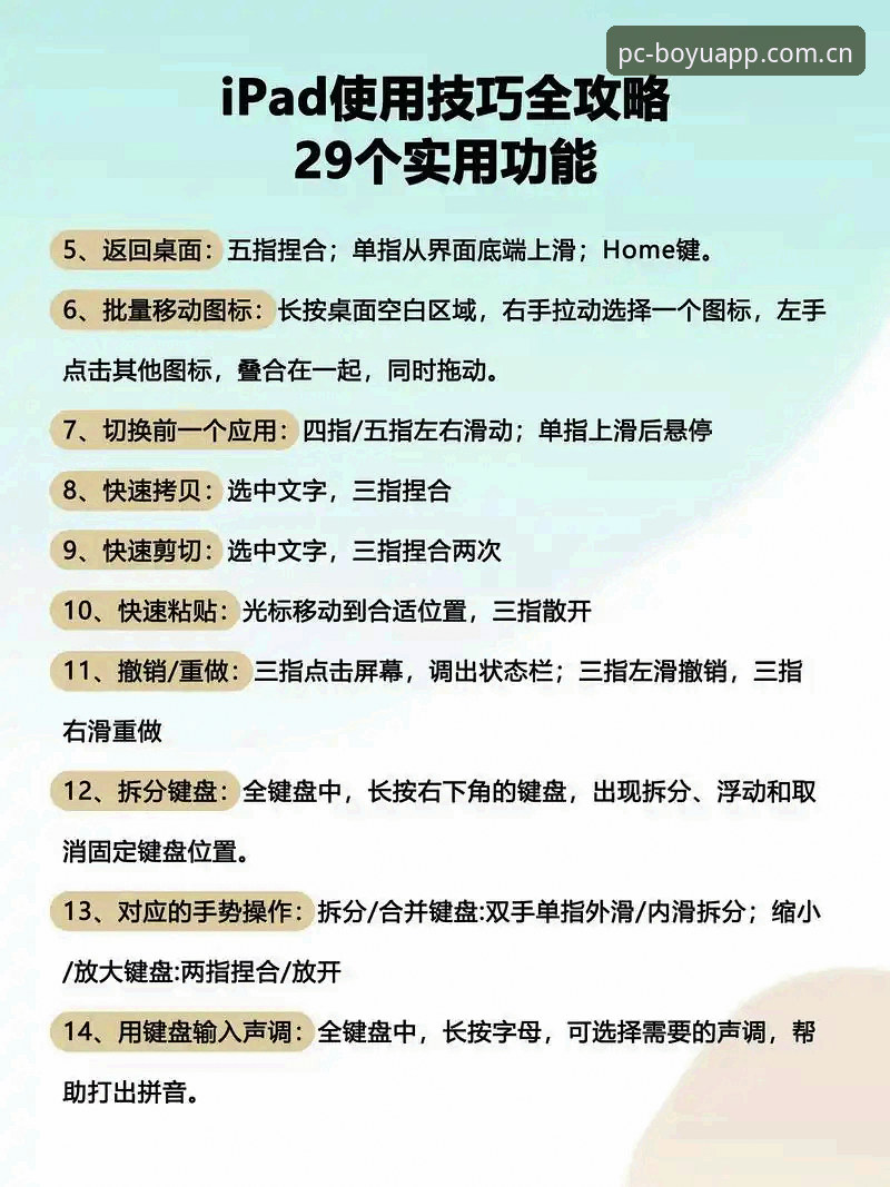 博鱼体育APP下载对比 博鱼官方平台使用教程:电脑版与最新版功能对比指南